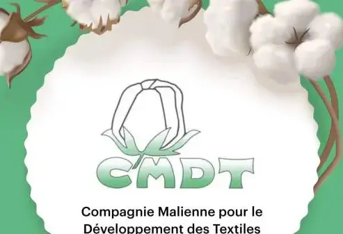 CMDT : plus trois milliards d’irrégularité selon le rapport du Bureau de Vérificateur général